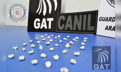 
							  GM prende rapaz e detém dois adolescentes por tráfico de drogas
						
						