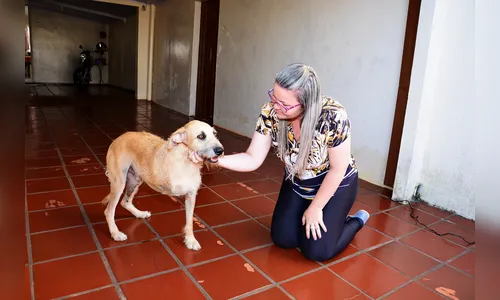 Apucarana registra média de 20 casos de maus-tratos de animais por mês