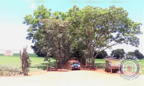 
							Grupamento de Defesa Ambiental intensifica serviços em Zona Rural
						
						