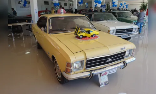 
							Encontro de Carros Antigos reúne admiradores e colecionadores na Apucarana Auto Peças
						
						