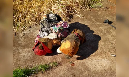 
							Casa é destruída por incêndio e cachorro morre carbonizado
						
						