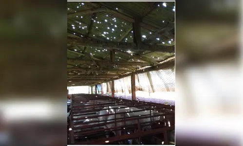 Temporal com granizo causa estragos em Arapuã 