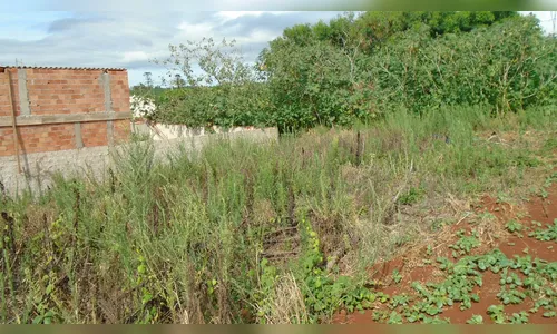 Após seis dias desaparecido idoso é encontrado morto em Ivaiporã