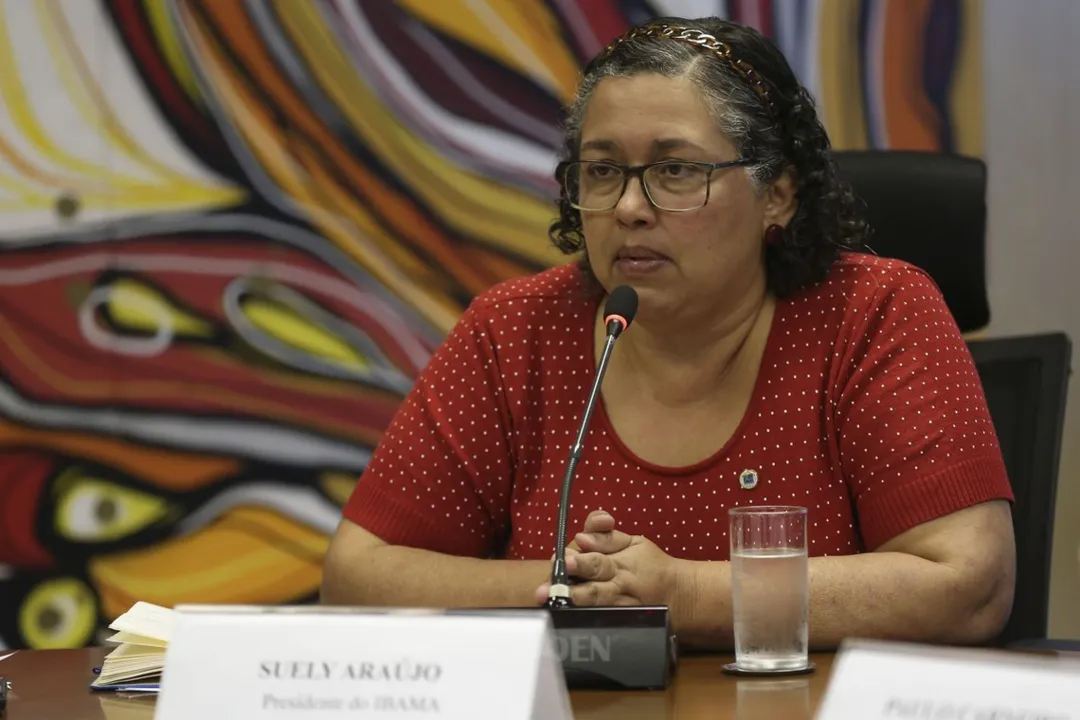 A cientista política Suely Araújo pediu exoneração do Instituto Brasileiro do Meio Ambiente e dos Recursos Naturais Renováveis (Ibama - foto - José Cruz/Agência Brasil