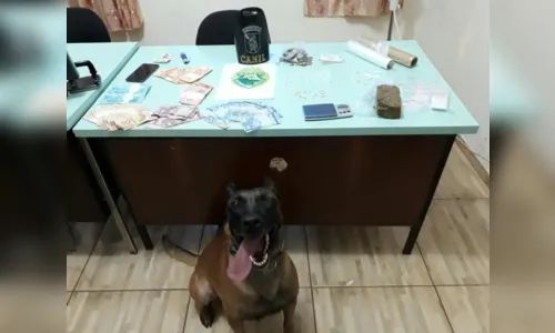 
							PM prende duas menores, uma moça e dois rapazes com crack, cocaína e maconha em Mauá da Serra
						
						