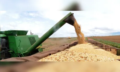 Safra de grãos de 2019 deve ser 3,1% maior que a de 2018, diz IBGE