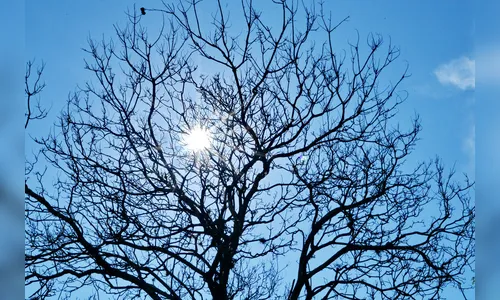 Sexta-feira tem previsão de calor e pancadas de chuva em Apucarana 