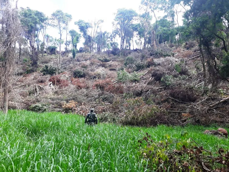 Polícia ambiental encontra desmate ilegal em Ivaiporã