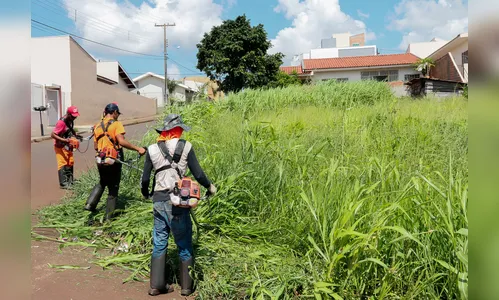Apucarana concede 15 dias para limpeza de terrenos baldios