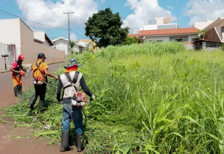 Apucarana concede 15 dias para limpeza de terrenos baldios