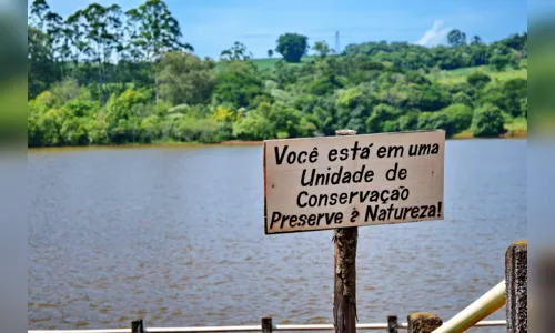
							Parque da Raposa vai receber 15 mil mudas de árvores nativas
						
						