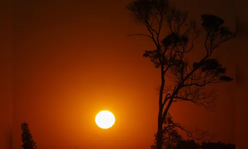Consumo de energia dispara com o calor