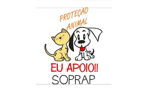 Conheça a história da Soprap