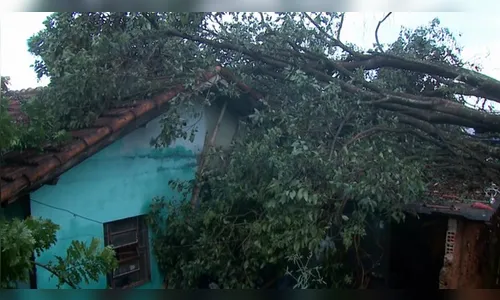Temporal deixa estragos em cidades da região
