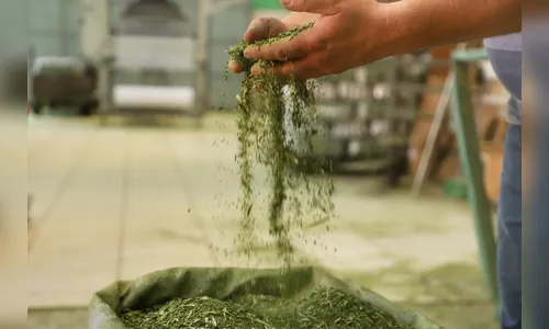 Paraná está entre os primeiros em produtos com certificação de origem