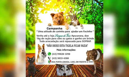 Não deixe essa tigela fica vazia