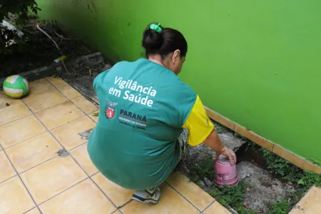Boletim aponta crescimento de casos de dengue no Paraná