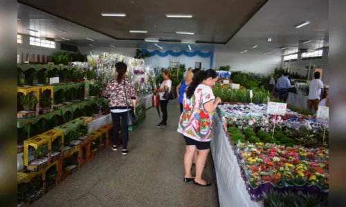 
							2ª Expoflores de Ivaiporã começa na quinta-feira
						
						