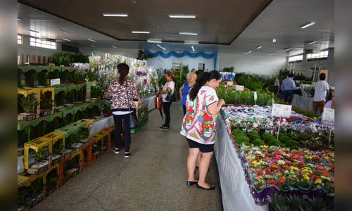 1ª Expoflor de Ivaiporã arrecada recursos para Apac