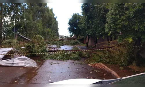 Temporal causa alagamentos, destelhamentos e quedas de árvores em Kaloré