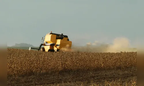 Clima reduz safra paranaense