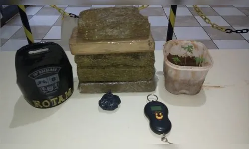 PM apreende 4,2 kg de maconha em Apucarana