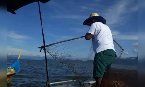 Pesca volta a ser permitida a partir desta sexta-feira