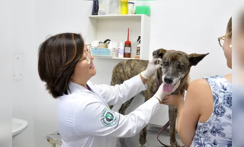 Universidades estaduais têm hospitais veterinários em quatro regiões