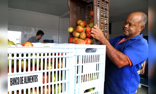Ceasa reaproveita 4,6 mil toneladas de alimentos por ano