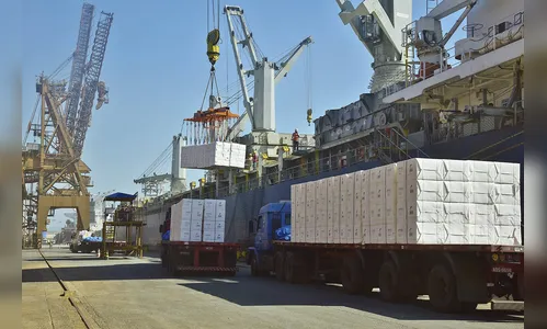 Celulose já é o terceiro produto mais exportado pelo Paraná