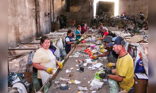 Cocap e prefeitura vão expandir projeto da “sacola retornável”