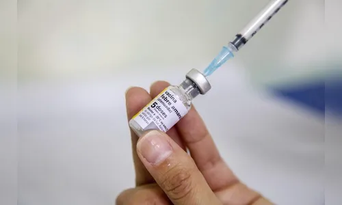 Paraná segue em alerta contra a febre amarela