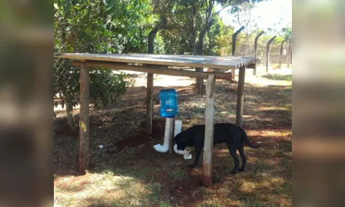 
							30º BI Mec faz campanha de doação de cachorros mantidos por voluntários
						
						