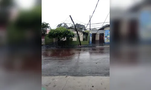 Temporal derruba árvore sobre fios da rede elétrica em Arapongas  