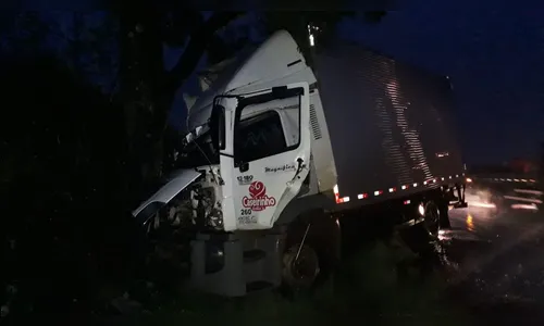 Caminhão sai da pista e bate contra árvore no Contorno Sul de Rolândia