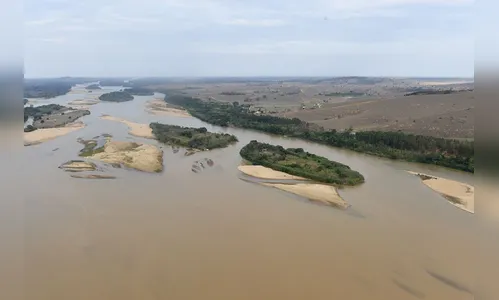 Água é considerada boa em apenas 6,5% dos rios da Mata Atlântica