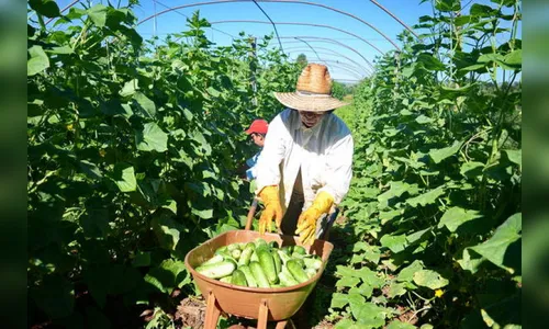   Assentamento cria nova agroindústria