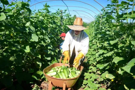   Assentamento cria nova agroindústria