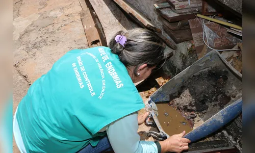 Saúde alerta para prevenção contra a dengue