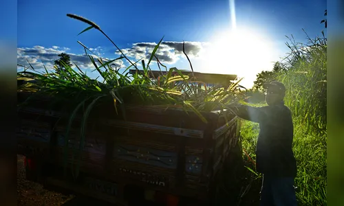 Fim de semana será ensolarado com máxima de 28ºC em Apucarana e região