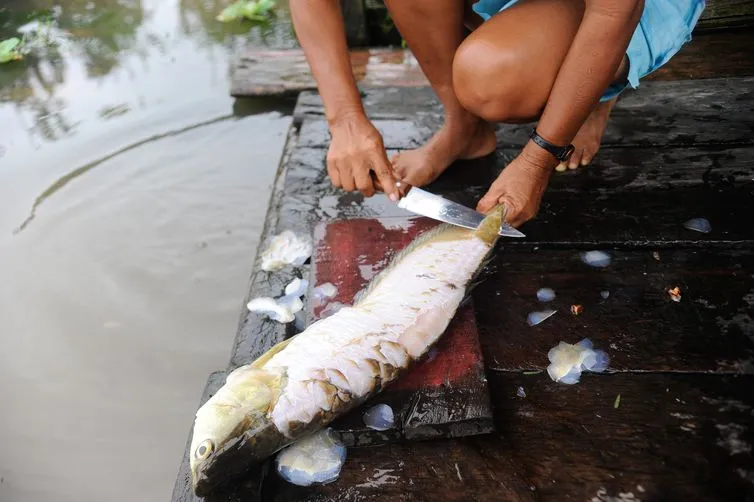 Pelos rios próximos à capital amazonense é comum encontrar pescadores nas portas das casas. (Tomaz Silva/Agência Brasil)