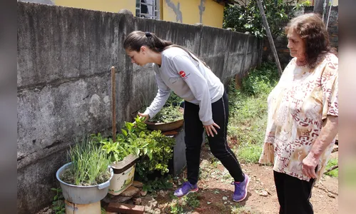Arapongas mantém alerta contra a dengue