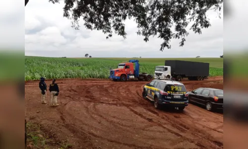 
							PRF apreende 1,5 tonelada de maconha em um fim de semana no Paraná
						
						