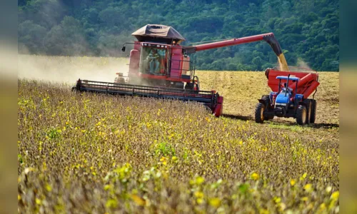 
							Avicultura decola no norte do Paraná
						
						