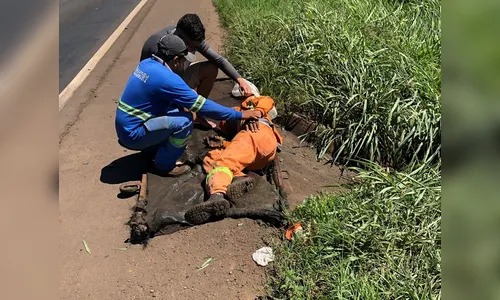 Caminhão desgovernado atropela dois trabalhadores na BR-376 em Mandaguari