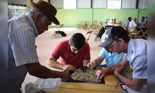 Ivaiporã capacita cafeicultores para classificação de grãos