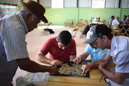 Ivaiporã capacita cafeicultores para classificação de grãos