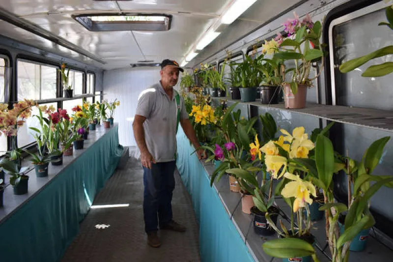 Produtor reforma ônibus para vender orquídeas
