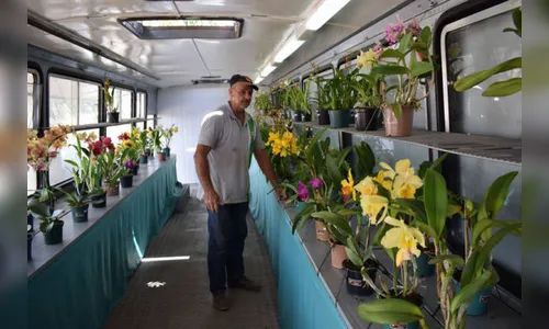 Produtor reforma ônibus para vender orquídeas