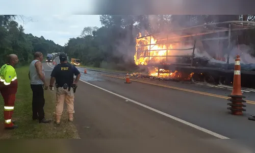 Caminhão carregado com papel higiênico pega fogo na BR-376